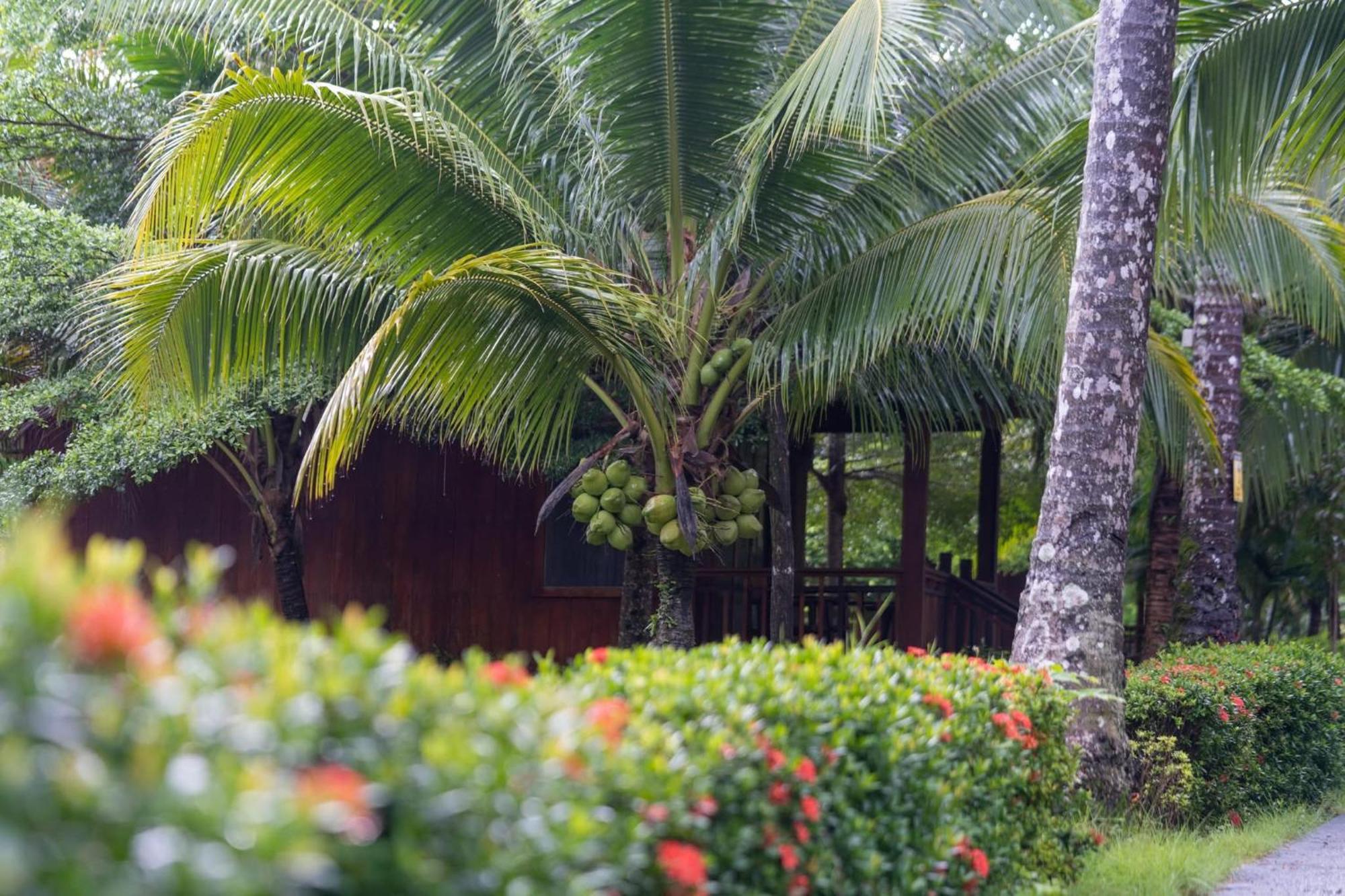 Mafiya Resort Thansour beach Buitenkant foto